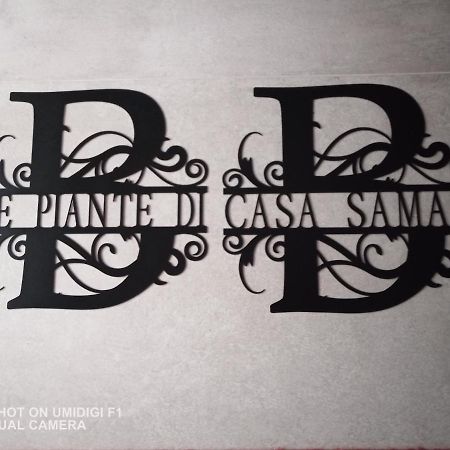 مبيت وإفطار Castelguelfo Le Piante Di Casa Samar المظهر الخارجي الصورة