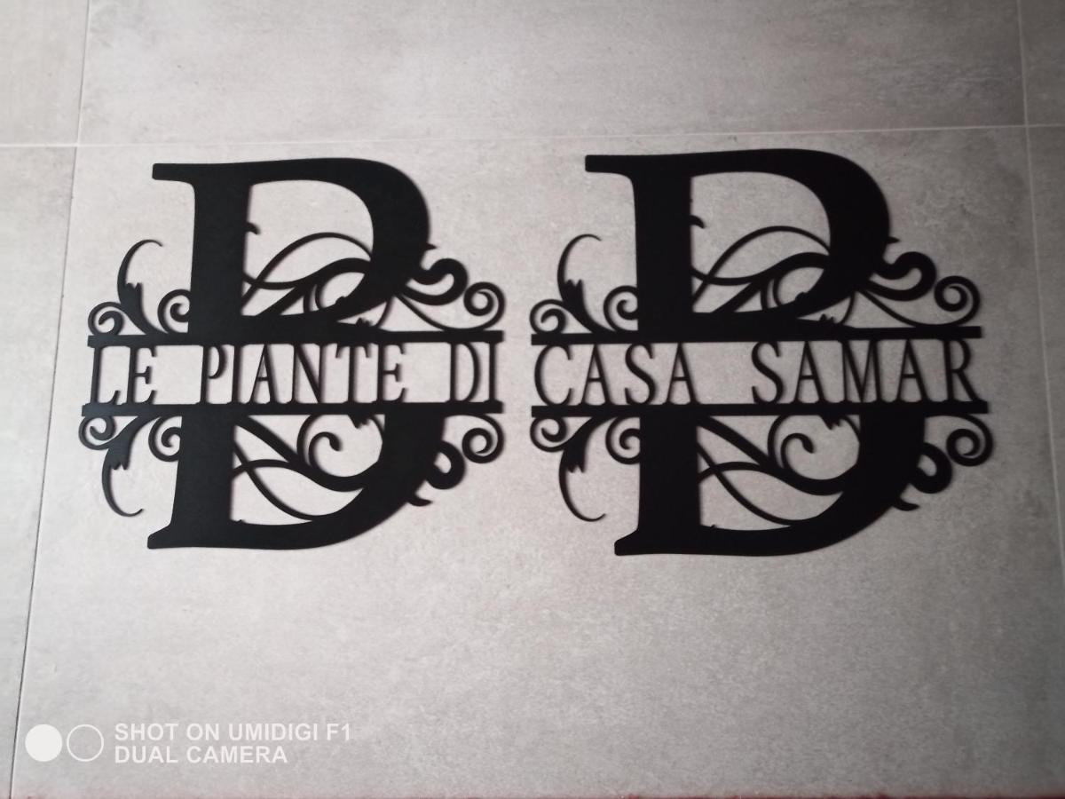 مبيت وإفطار Castelguelfo Le Piante Di Casa Samar المظهر الخارجي الصورة